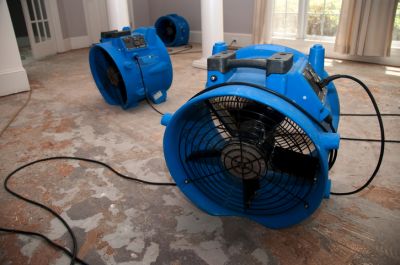 Water Dryout Service