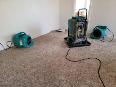 Carpet Water Removal