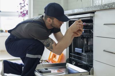 Repair a Malfunctioning Dishwasher!