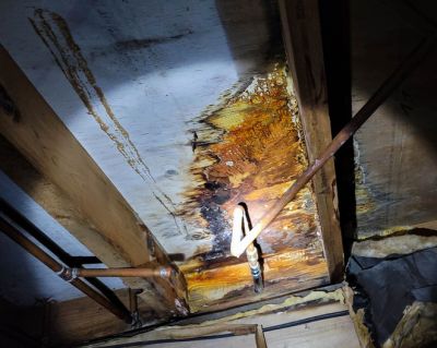 Ceiling Water Seepage Repair